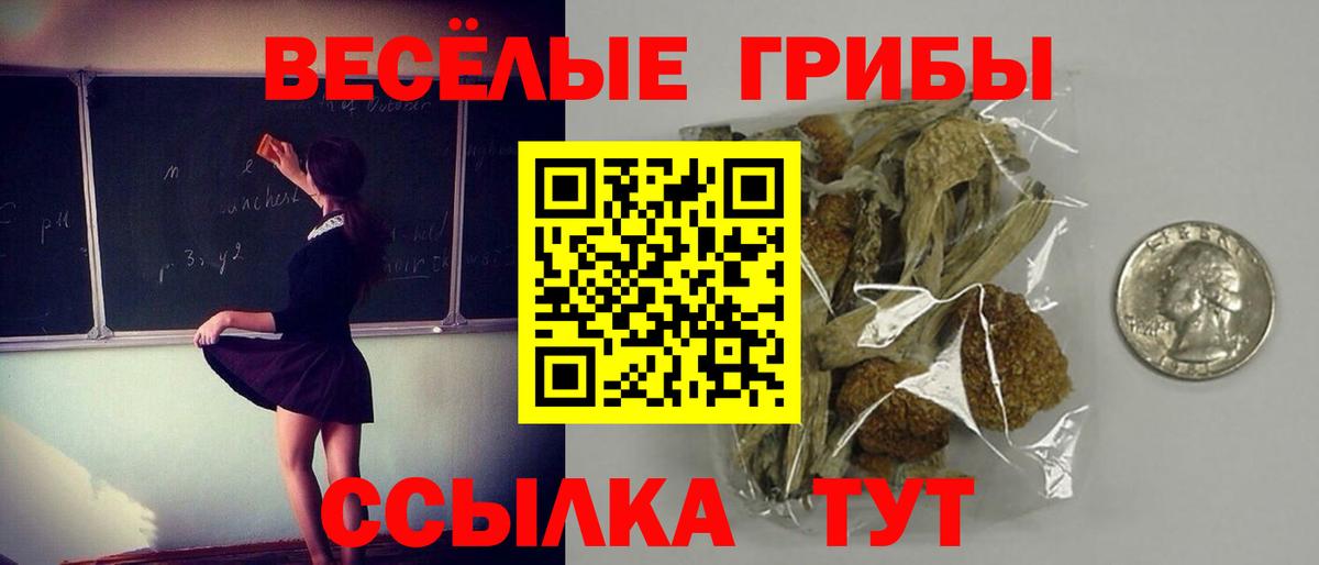 Галлюциногенные грибы Magic Shrooms Черняховск